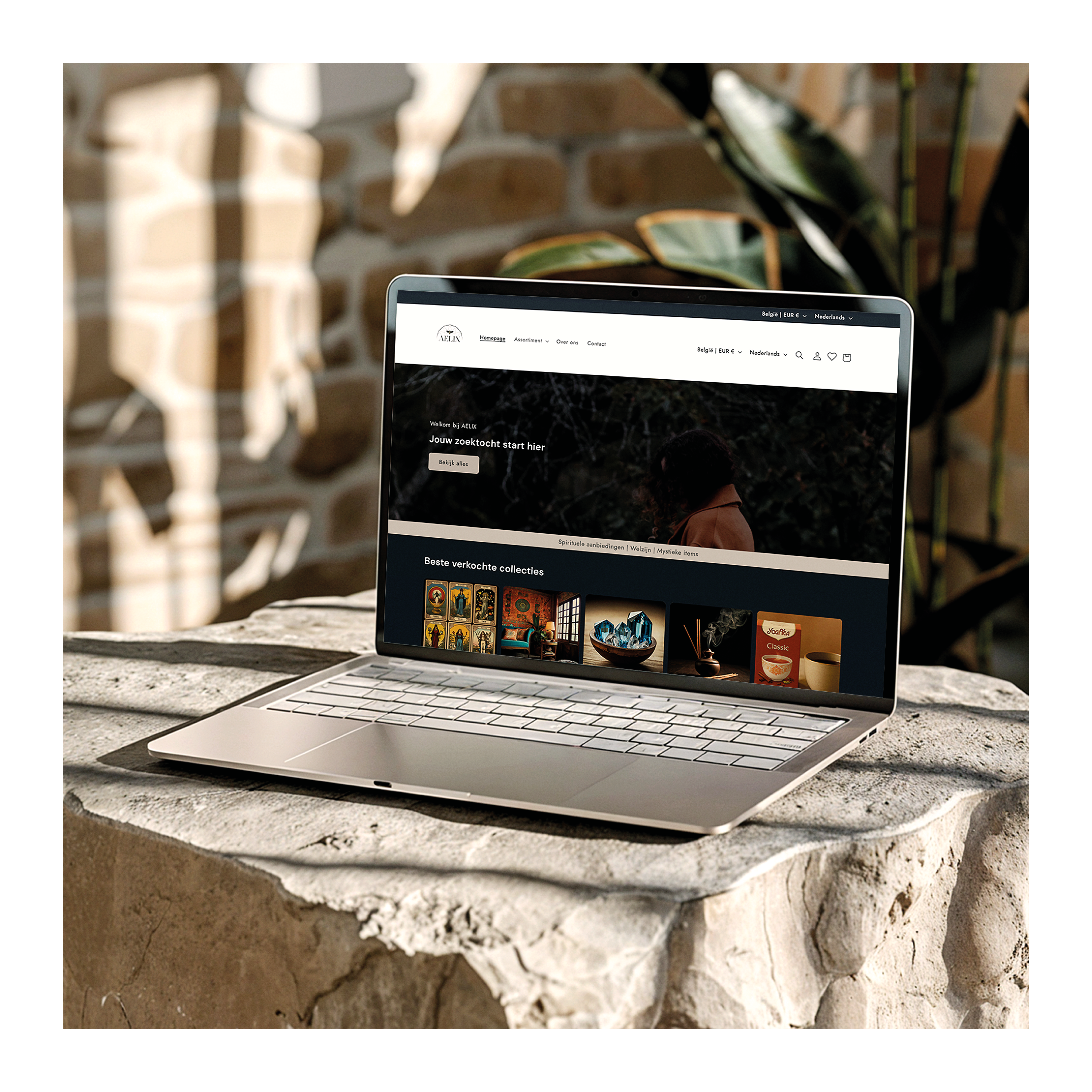 Webshop Aelix